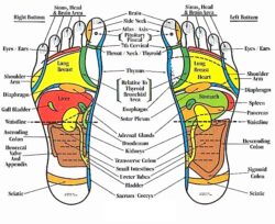Advanced Reflexology Course Deposit