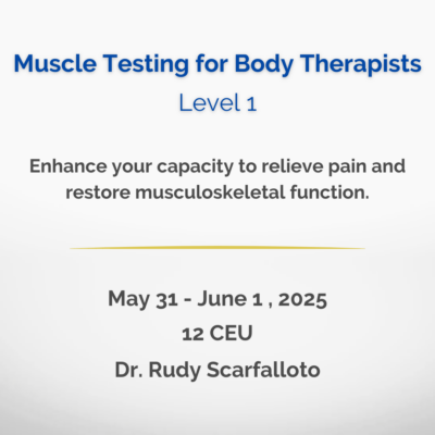 Muscle Testing - Level 1